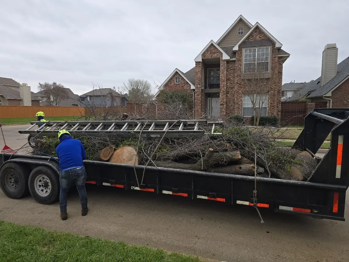 Expert Tree Removal with proper safety equipment in Triplett